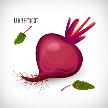 Beyaz arka planda bütün kırmızı pancar bitkisi izole edilmiş. Sağlıklı diyet vejetaryen yemekleri. Salata malzemesi düz stil. Kırmızı Pancar Mektubu. Vektör illüstrasyonu.
