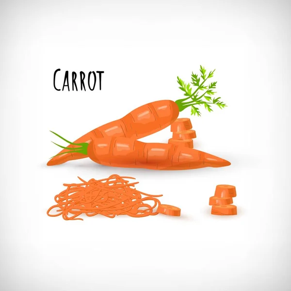 全长有绿叶 切碎的胡萝卜 呈扁平型 沙拉设计的元素 蔬菜有机生态生物农产品 让胡萝卜烂掉了胡萝卜蔬菜手绘图像 — 图库矢量图片