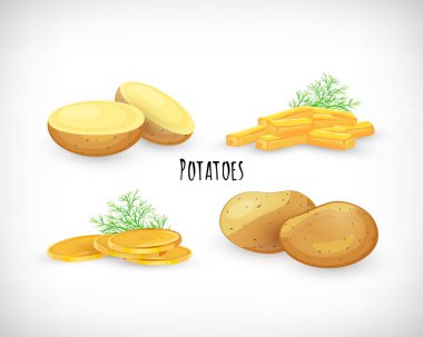 Patates, yarım, soyulmamış, kızartılmış, ev yapımı cips, dereotlu dal. Sebzeli organik ekolojik tarım ürünü. Patates Mektubu. Patates sebzesi imajı. Vektör illüstrasyonu .
