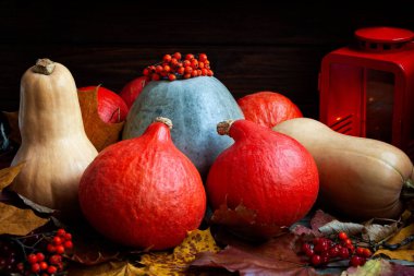 Masanın üzerinde, sonbahar yaprakları ve turuncu Rowan böğürtlenleriyle çevrili olgun turuncu, mavi ve sarı balkabakları bulunur..