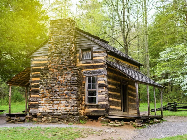 A lonely little cabin in the woods, lonely little log cabin in the green forest