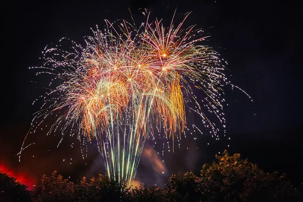 beautiful new year firework lights, new year celebration with fireworks in the sky