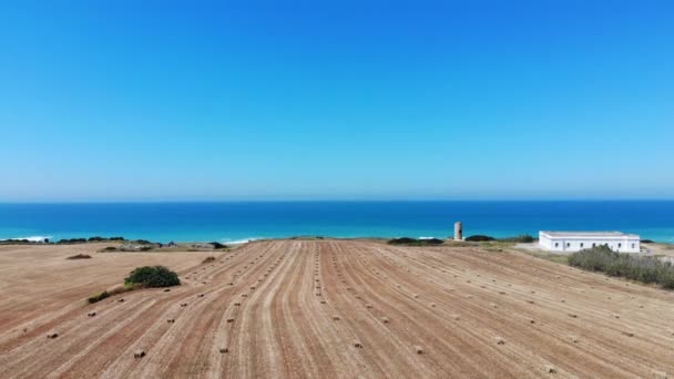 Vista Aérea Campo Com Palheiro — Vídeo de Stock