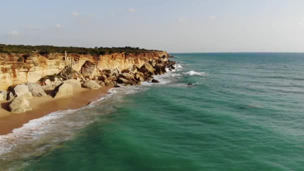 Blick Von Oben Meer Wellen Erreichen Kalifornien Sandstrand Küste Drohne — Stockvideo