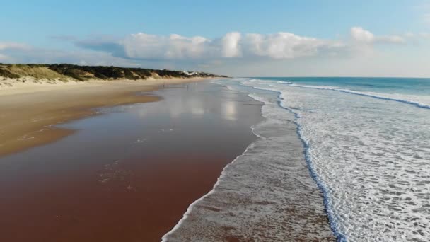 Drone Aéreo Material Viaje Playa Océano — Vídeo de stock