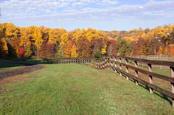 Fall scene with colorful trees on a horse farm with a long wooden fence.