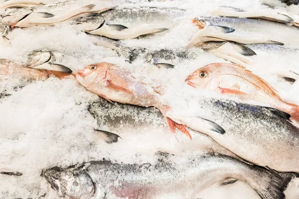 Raw fish on ice in a fish market on the streets of New York City