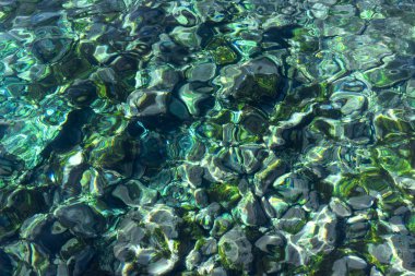 View from above to a stony seabed in clear water with abstract green pattern clipart