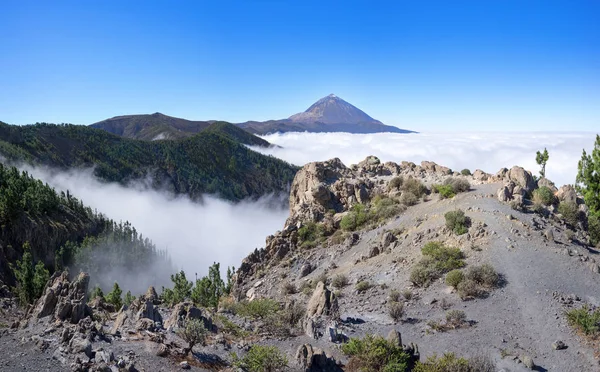 Landscape National Park Tenerife Teide Sea Clouds Orotava Valley — Stock Photo, Image