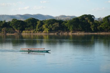 Laos 'taki Mekong nehri ve ormanı