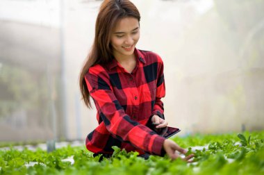 Kadın organik sebze bahçesini kontrol ediyor.