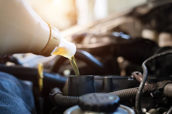 Mecánico Del Coche Que Sostiene Aceite Del Engranaje Comprobación Vehículo — Foto de Stock