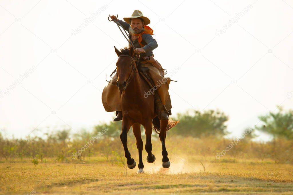 Cowboy on horseback. Ranch