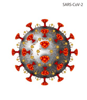 Coronavirüs (Covid-19) illüstrasyonu. Mikroskop ile görülen görüntü.