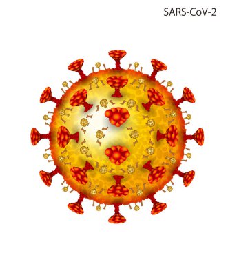 Coronavirüs (Covid-19) illüstrasyonu. Mikroskop ile görülen görüntü.