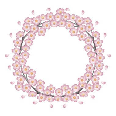 Kiraz çiçekleri çemberi. Pembe. - Yay çerçevesi. Soyut şekil.