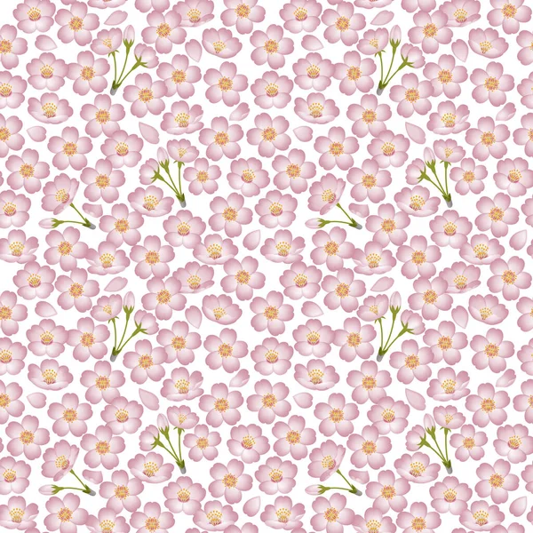 Jaro Pozadí Ilustrace Třešňových Květů Bezproblémový Vzor Bílé Pozadí — Stock fotografie