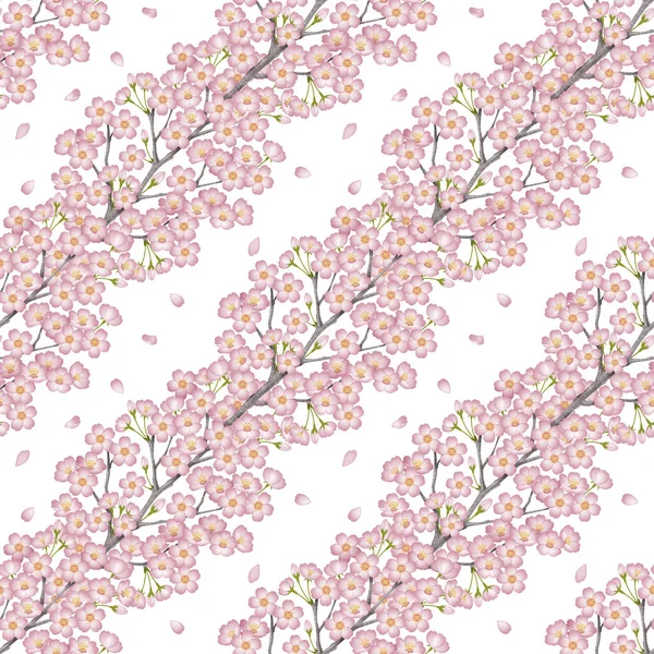 Jaro Pozadí Ilustrace Třešňových Květů Bezproblémový Vzor Bílé Pozadí — Stock fotografie
