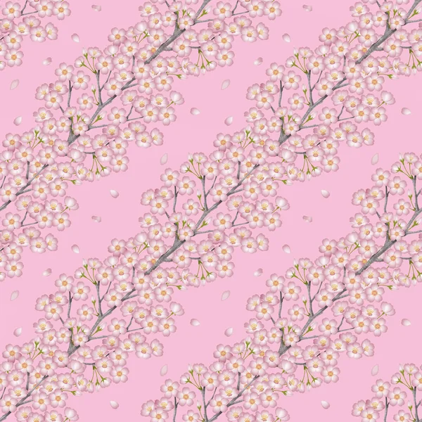 Jaro Pozadí Ilustrace Třešňových Květů Bezproblémový Vzor Růžové Pozadí — Stock fotografie