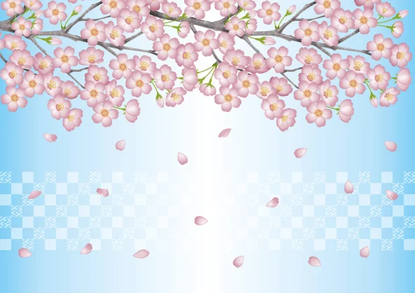 Primavera Ilustración Flores Cerezo Japan Cherry Blossom Viendo Eventos Azul — Foto de Stock