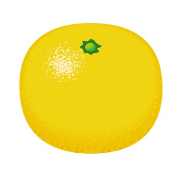 Greyfurt tasviri. / Beyaz arkaplan.