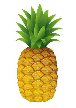 Ananas tasviri. / Beyaz arkaplan.