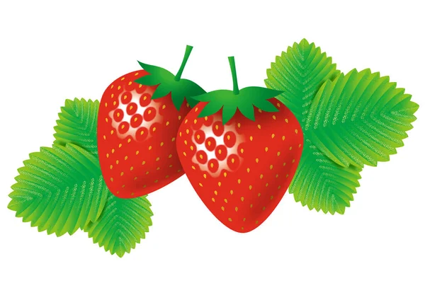 딸기를 봅시다 White — 스톡 사진