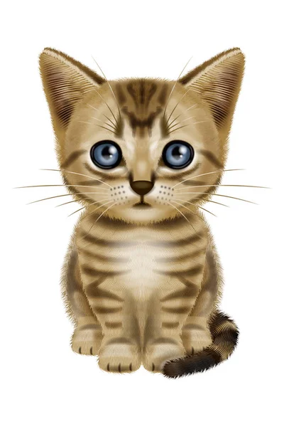 Ilustrace Krátkosrsté Kočky Ospalé Kotě Hnědá Tabby — Stock fotografie