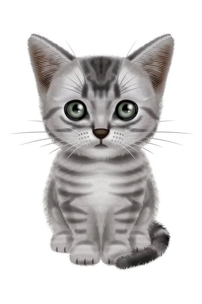 Illustration Short Hair Cat Sleepy Kitten Silver Tabby — Stock Photo, Image