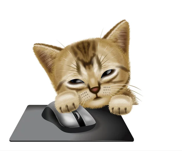 Ilustrace Krátkosrsté Kočky Kotě Ospalé — Stock fotografie