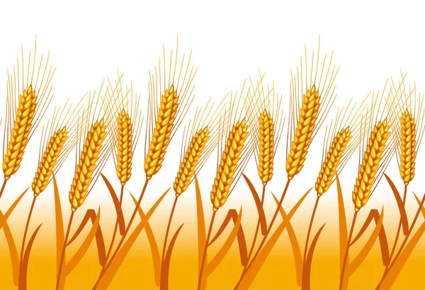 Иллюстрация Пшеницы Фон Бесшовного Рисунка Пшеница После Сбора Урожая — стоковое фото