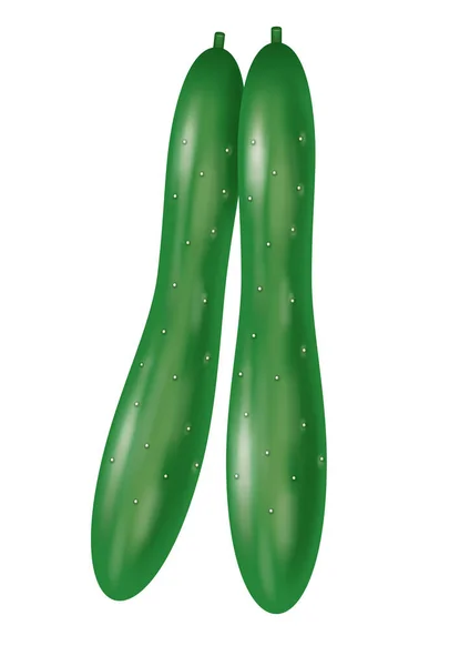 Illustration Cucumber Fresh Vegetables — Stock Photo, Image