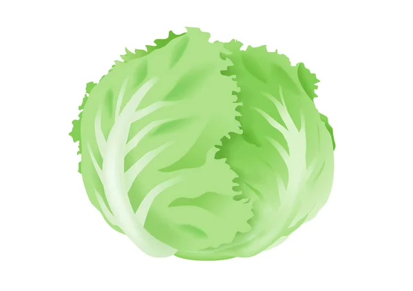 Saláta Illusztrációja Friss Zöldségek — Stock Fotó
