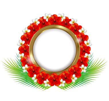 Amfibik ve Plumeria çerçevesi. İllüzyon. Tropik görüntüler. 