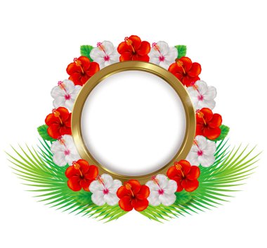 Amfibik dokunun çerçevesi. İllüzyon. Tropik görüntüler.