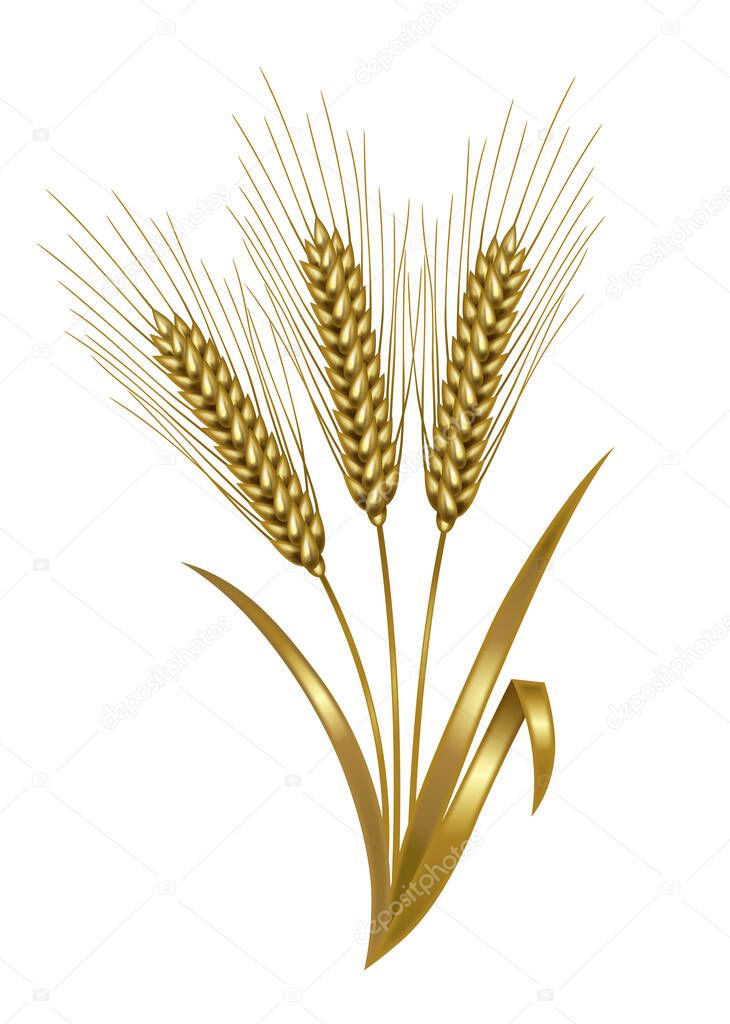 Illustration of wheat. Metallic gold.