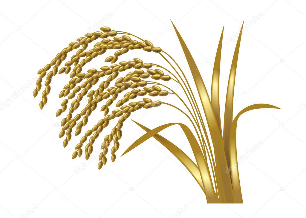 Illustration of an ear of rice./ Metallic gold. 