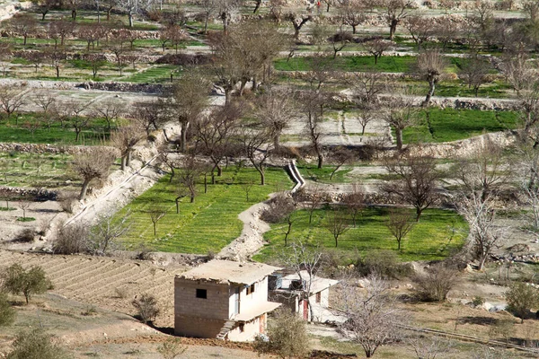 Boerderij Centraal Syrië — Stockfoto