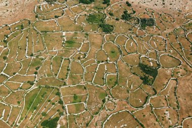 Hırvatistan 'ın Krk adasındaki kuru duvar labirentinin hava manzarası