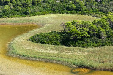Hırvatistan 'ın Mljet adasında Blato adlı çamurlu sulak alanlar