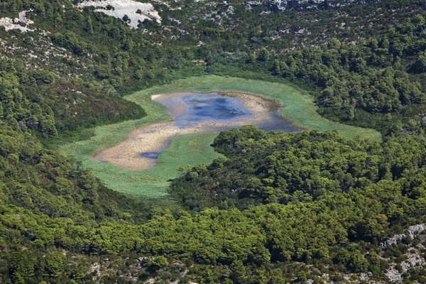 Zone Umide Fangose Chiamate Blato Sull Isola Mljet Croazia — Foto Stock