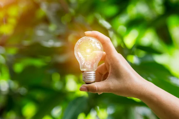 hand holding light bulb against nature, icons energy sources for renewable,