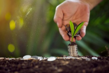 Doğa bir adamın eline bozuk para döker..