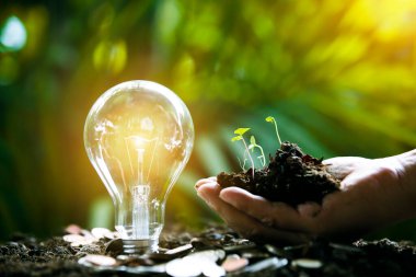 Doğaya karşı el ele tutuşan ampul, yenilenebilir enerji kaynakları için simgeler,