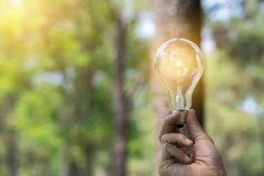 Doğadaki enerji kavramında büyüyen ampuller..