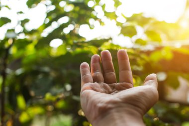 Çevre simgeleriyle el ele tutuşan teknoloji, yeşil arkaplanda Ağ bağlantısı üzerinden.