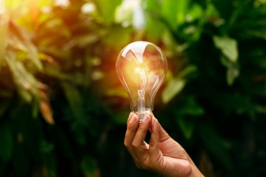 Doğadaki enerji kavramında büyüyen ampuller..