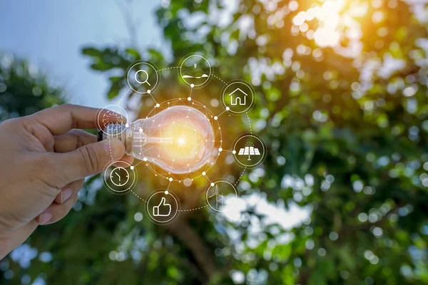 Mão Segurando Lâmpada Contra Natureza Ícones Fontes Energia Para Renováveis — Fotografia de Stock