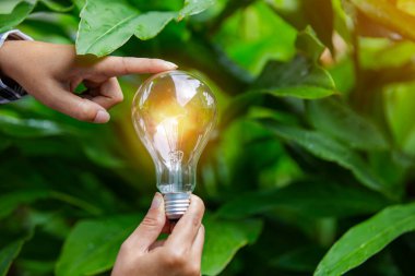 Doğadaki enerji kavramında büyüyen ampuller..