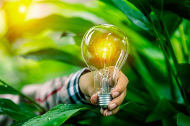Doğadaki enerji kavramında büyüyen ampuller..